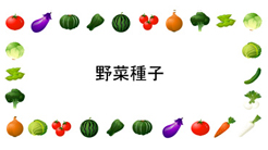 野菜種子